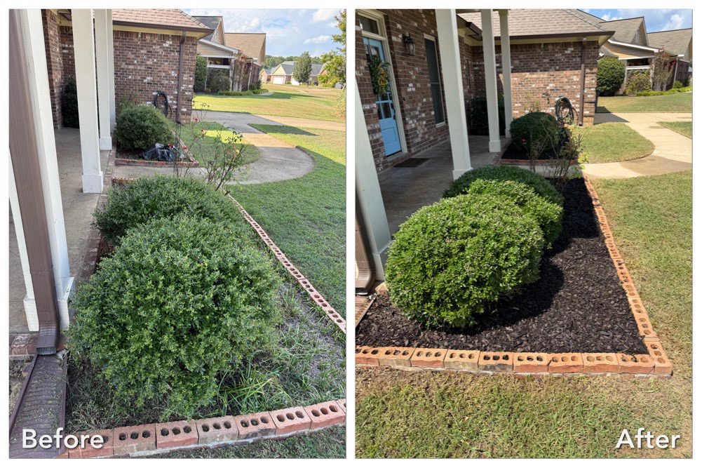 Professional Flowerbed Maintenance & Shrub Trimming in Oxford, MS (1)